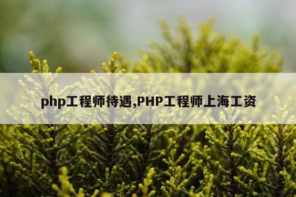 php工程师待遇,PHP工程师上海工资