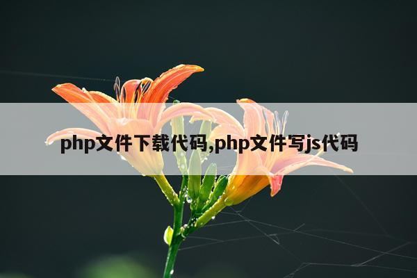 php文件下载代码,php文件写js代码