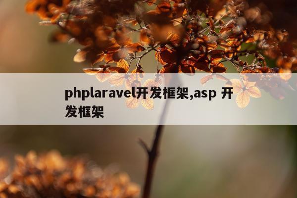 phplaravel开发框架,asp 开发框架