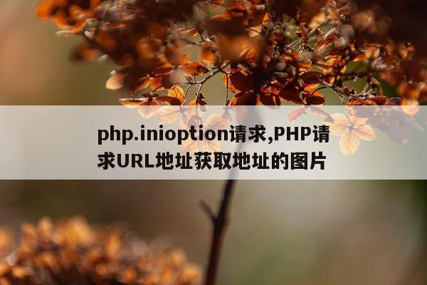 php.inioption请求,PHP请求URL地址获取地址的图片