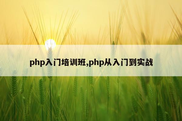 php入门培训班,php从入门到实战