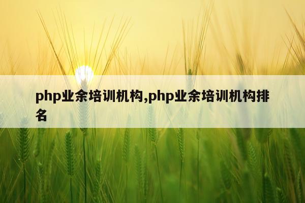 php业余培训机构,php业余培训机构排名