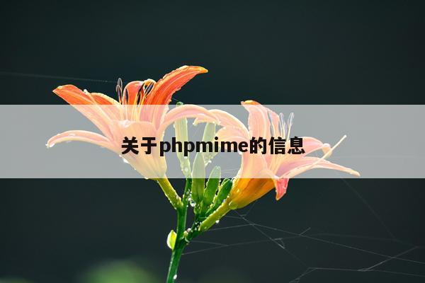 关于phpmime的信息