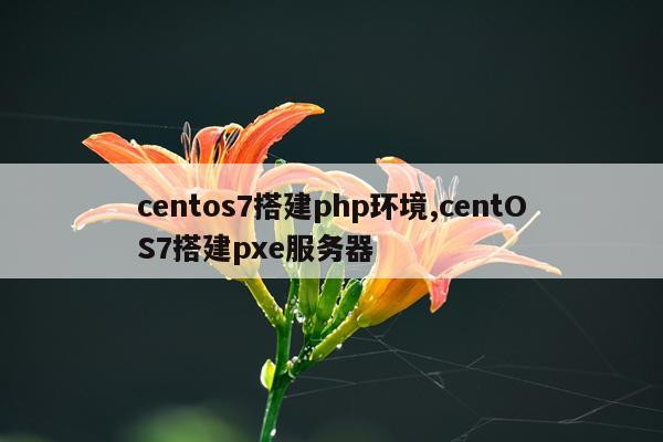 centos7搭建php环境,centOS7搭建pxe服务器