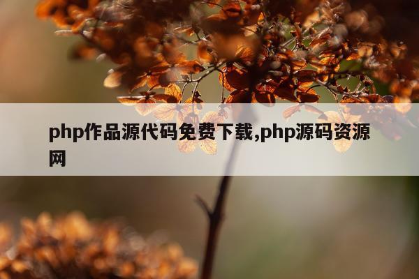 php作品源代码免费下载,php源码资源网