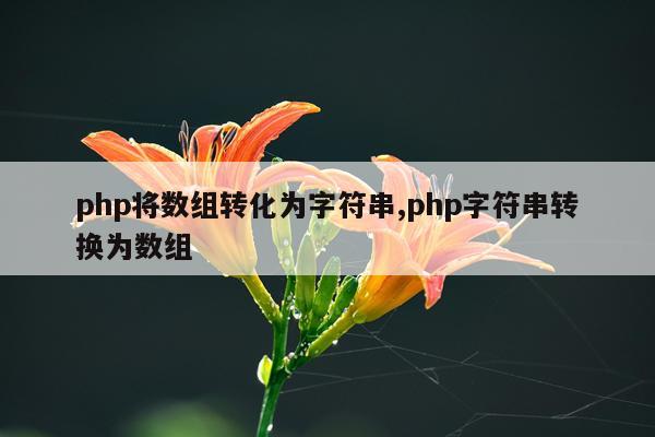 php将数组转化为字符串,php字符串转换为数组