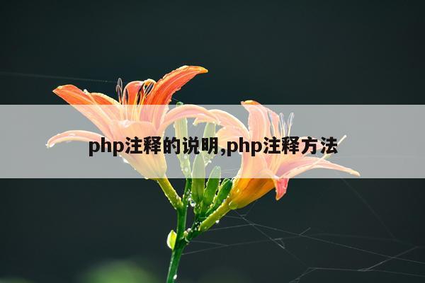 php注释的说明,php注释方法