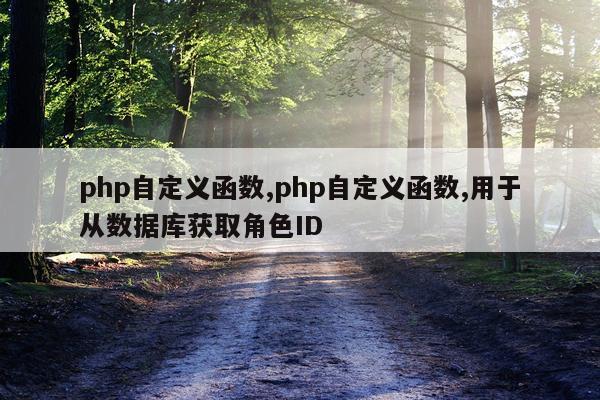 php自定义函数,php自定义函数,用于从数据库获取角色ID