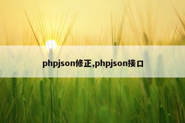 phpjson修正,phpjson接口