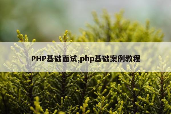 PHP基础面试,php基础案例教程