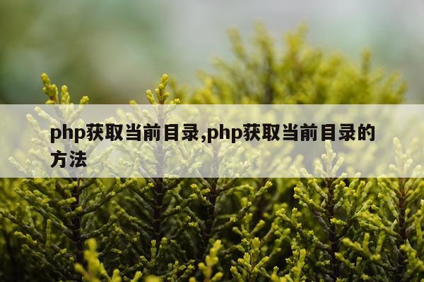 php获取当前目录,php获取当前目录的方法