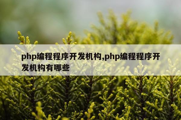 php编程程序开发机构,php编程程序开发机构有哪些