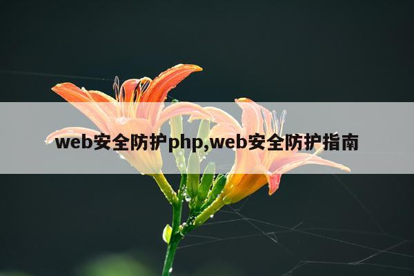 web安全防护php,web安全防护指南