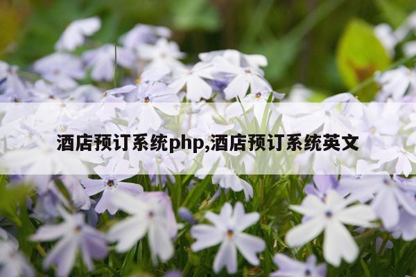 酒店预订系统php,酒店预订系统英文