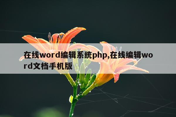 在线word编辑系统php,在线编辑word文档手机版