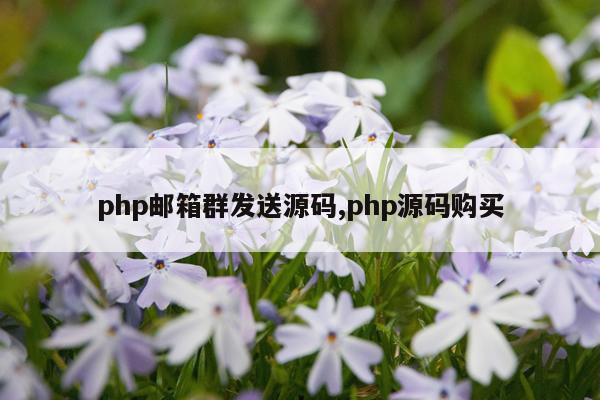 php邮箱群发送源码,php源码购买