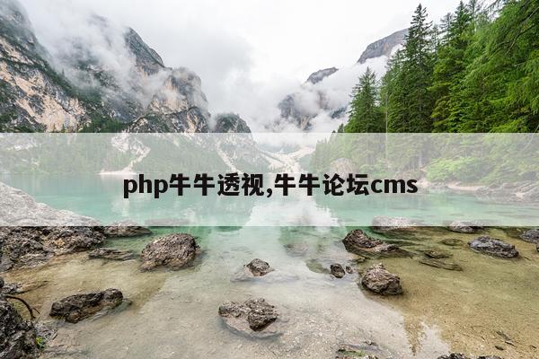php牛牛透视,牛牛论坛cms