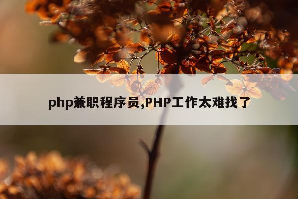 php兼职程序员,PHP工作太难找了