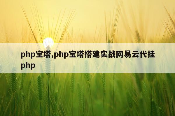 php宝塔,php宝塔搭建实战网易云代挂php