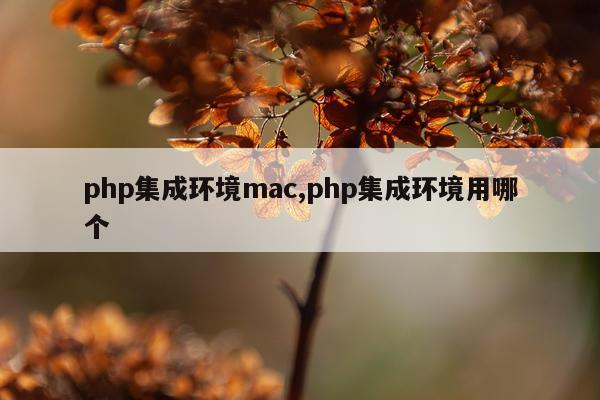 php集成环境mac,php集成环境用哪个