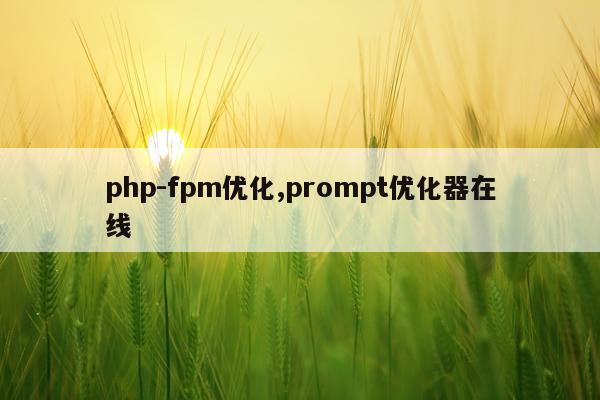 php-fpm优化,prompt优化器在线