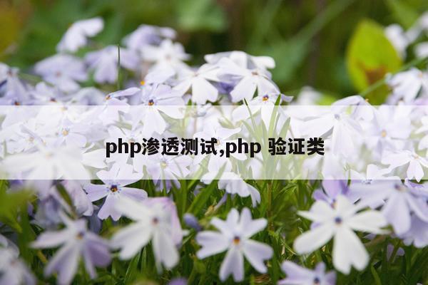 php渗透测试,php 验证类