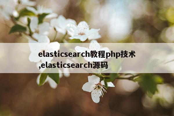 elasticsearch教程php技术,elasticsearch源码
