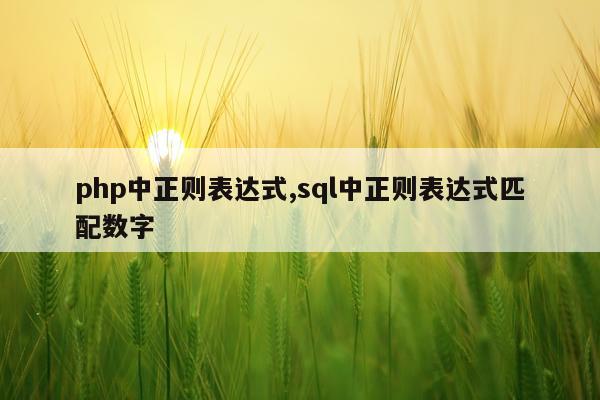 php中正则表达式,sql中正则表达式匹配数字