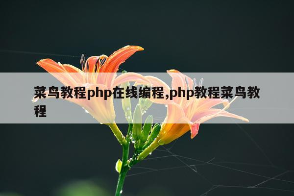 菜鸟教程php在线编程,php教程菜鸟教程